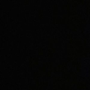 Meet your Posher, Henrietta